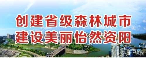 男生的鸡鸡插入女生啊啊的高清视频创建省级森林城市 建设美丽怡然资阳