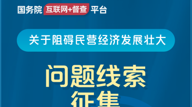 少萝泳裤袜自慰国务院“互联网+督查”平台公开征集阻碍民营经济发展壮大问题线索